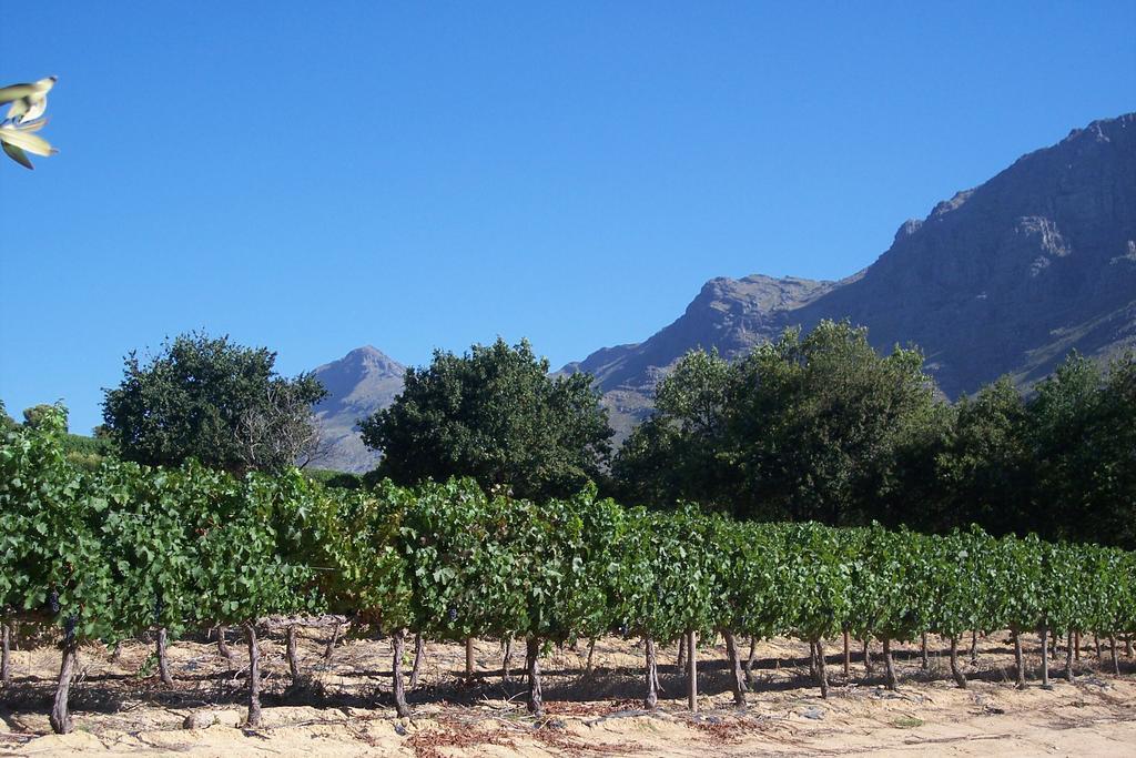 Sonklip Stellenbosch Exterior foto