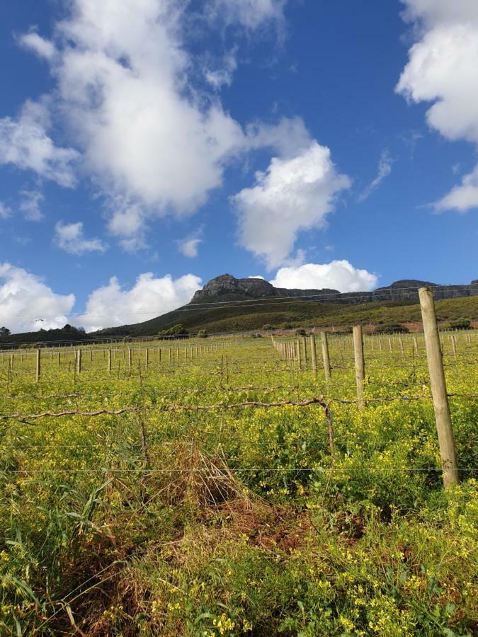 Sonklip Stellenbosch Quarto foto